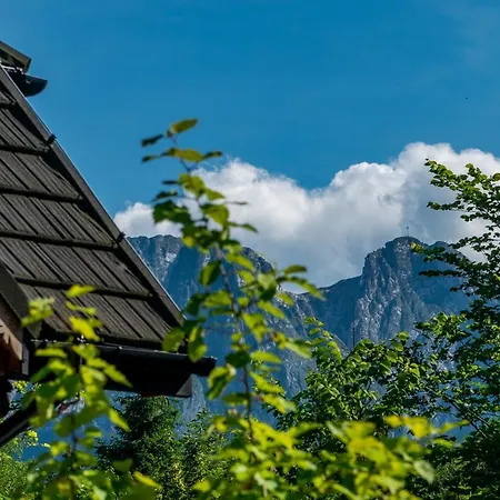 Capra - Adult Only * Zakopane