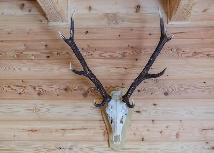 Capra - Adult Only アパート *